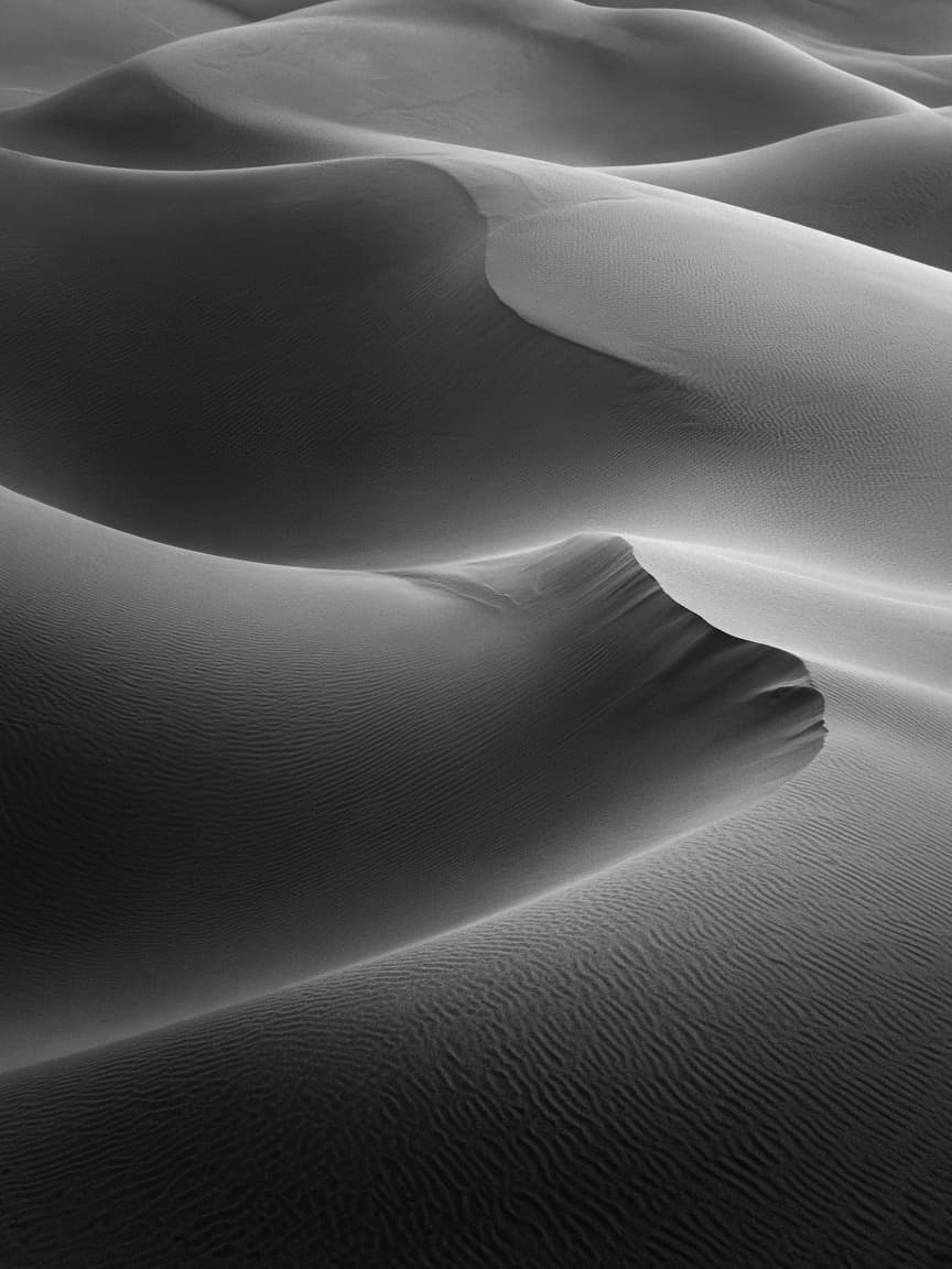 Black and White Fine Art